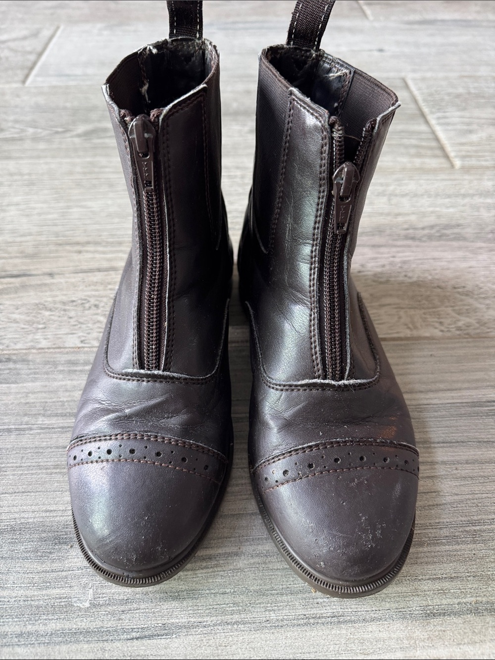 Paddock Boots in brown leather. Riding sport by Dover Saddlery